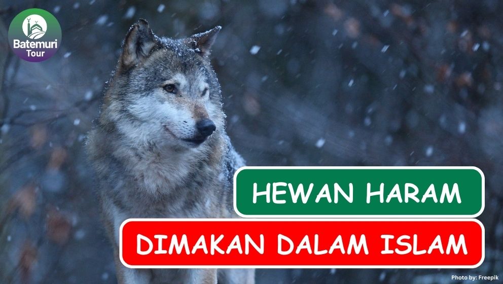 Hati-hati!! Ini Dia 7 Hewan yang Haram Dimakan dalam Islam